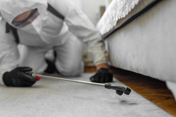 Professional Cockroach Control technician working in Wayne, IL