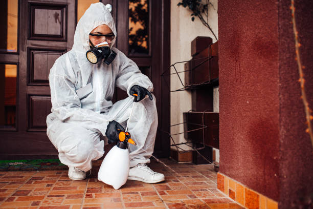 Reliable Cockroach Control contractor in Wayne, IL by Nex Pest Control